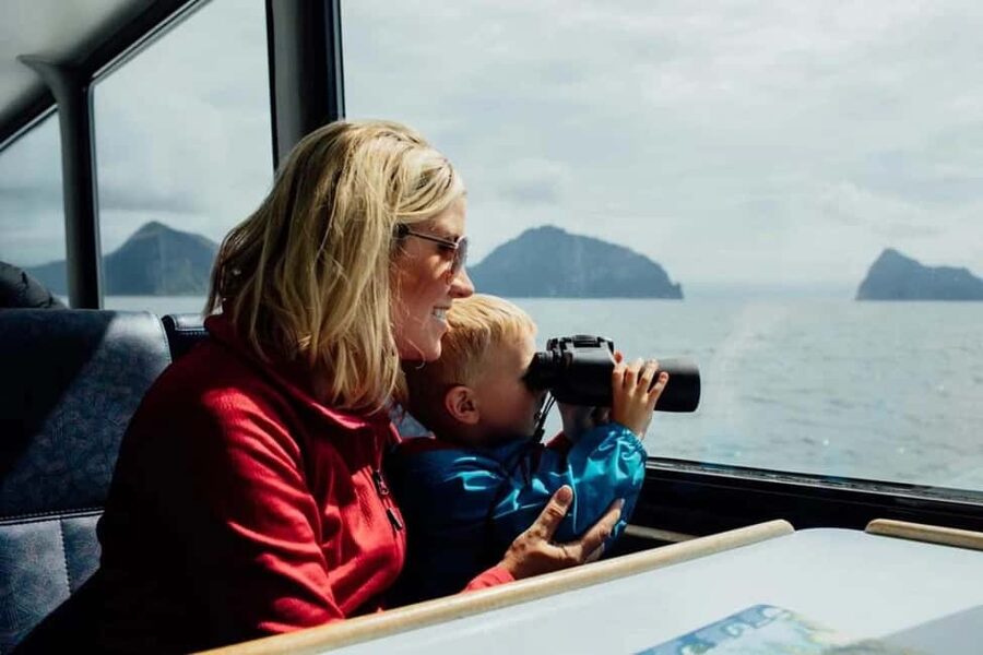Seward: Kenai Fjords National Park Glacier & Wildlife Cruise - Comfort, weather, and seasickness