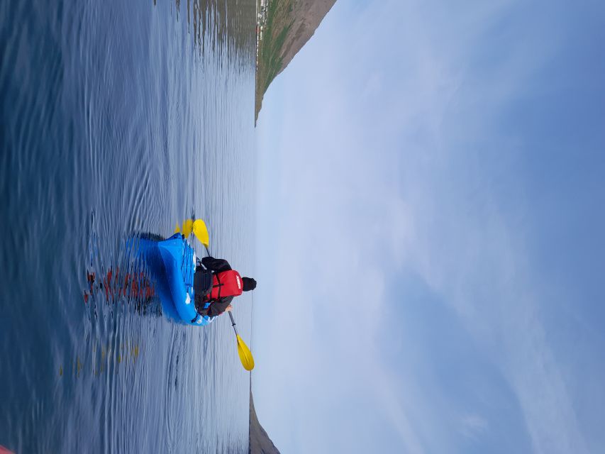 Siglufjörður / Siglufjordur: Guided kayak tour. - Why Kayak Siglufjörður?
