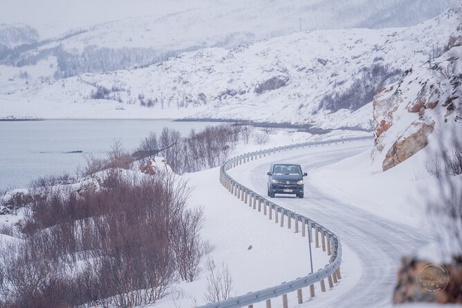 Small Group Arctic Fjords Road trip with Scenic Picnic - Who should book this Kvaløya road trip