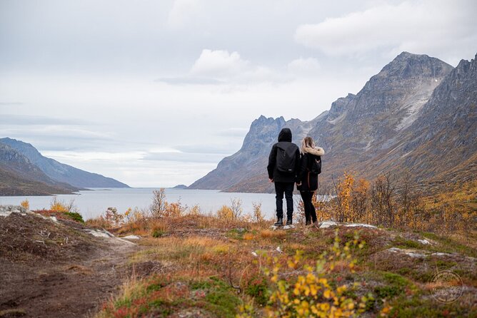 Small Group Arctic Fjords Road trip with Scenic Picnic - The changing scenery of Kvaløya
