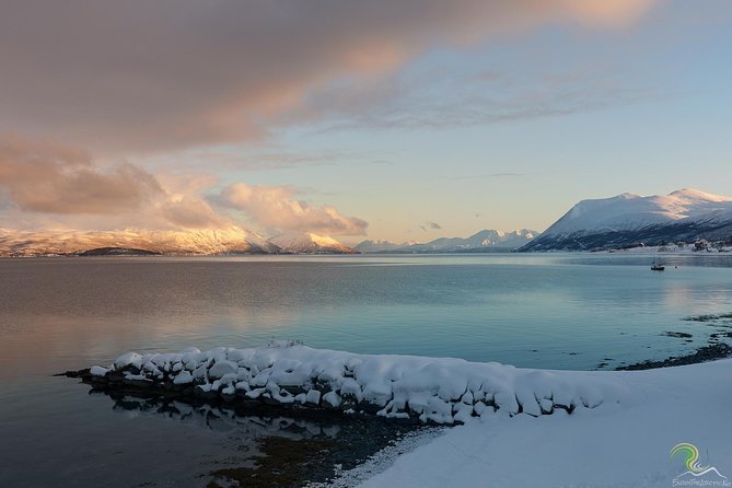 Small-Group Norwegian Fjords Tour from Tromso with Photos - Why this five-hour fjord tour works well