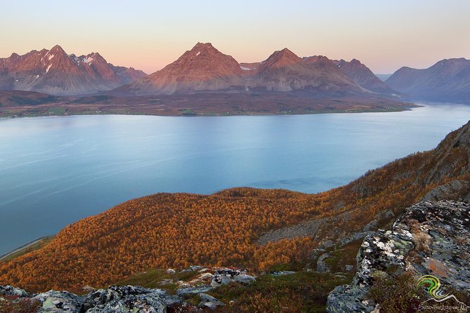 Small-Group Norwegian Fjords Tour from Tromso with Photos - Beaches, mountains, and open water