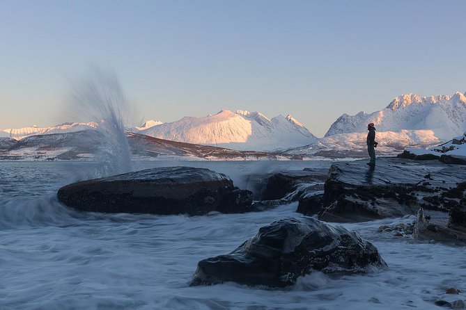 Small-Group Norwegian Fjords Tour from Tromso with Photos - Reindeer, roadside stops, and room to look around