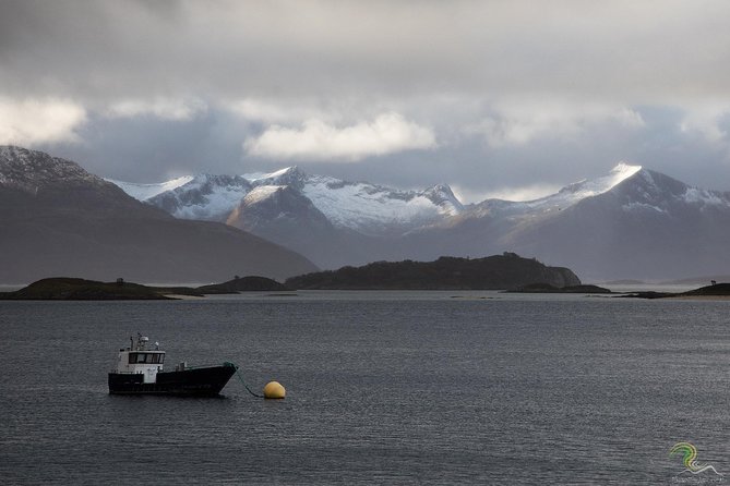Small-Group Norwegian Fjords Tour from Tromso with Photos - Leaving Tromsø for the fjord country