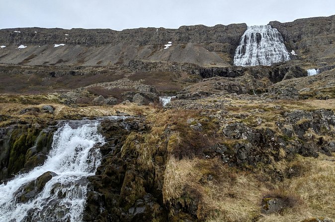 Small Group Tour Ísafjordur Dynjandi Waterfall & Secret Stop - Port pickup and the practical details