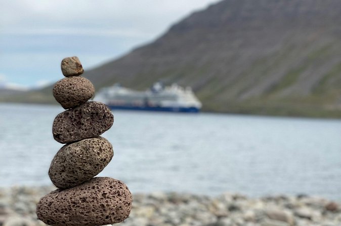 Small Group Tour Ísafjordur Dynjandi Waterfall & Secret Stop - Who should book this Westfjords outing?