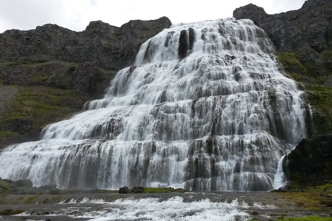 Small Group Tour Ísafjordur Dynjandi Waterfall & Secret Stop - A working farm gives the tour a human scale