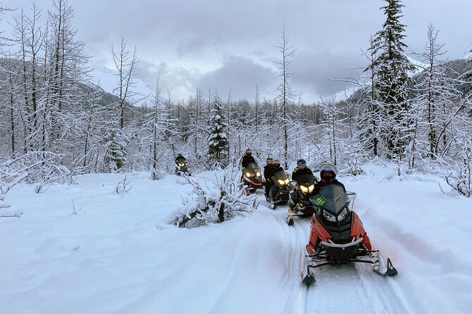 Snowmobile and Snowshoe Dual Adventure in Kenai Fjords NP - Seeing Exit Glacier in its winter setting