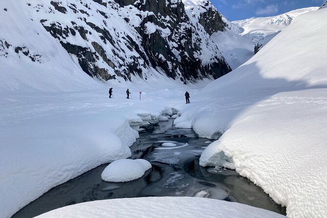 Snowmobile and Snowshoe Dual Adventure in Kenai Fjords NP - Who should book this Seward outing