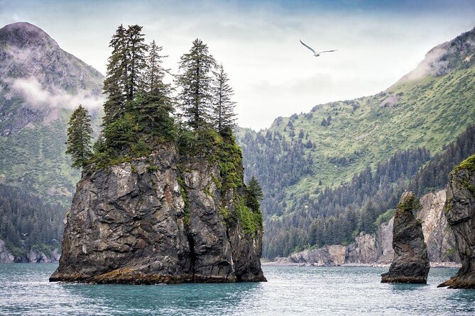 Snowmobile Classic Tour in Kenai Fjords National Park - Key Points Before You Book