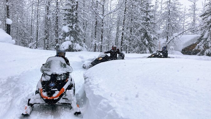 Snowmobile Classic Tour in Kenai Fjords National Park - What the $342.42 Price Really Covers