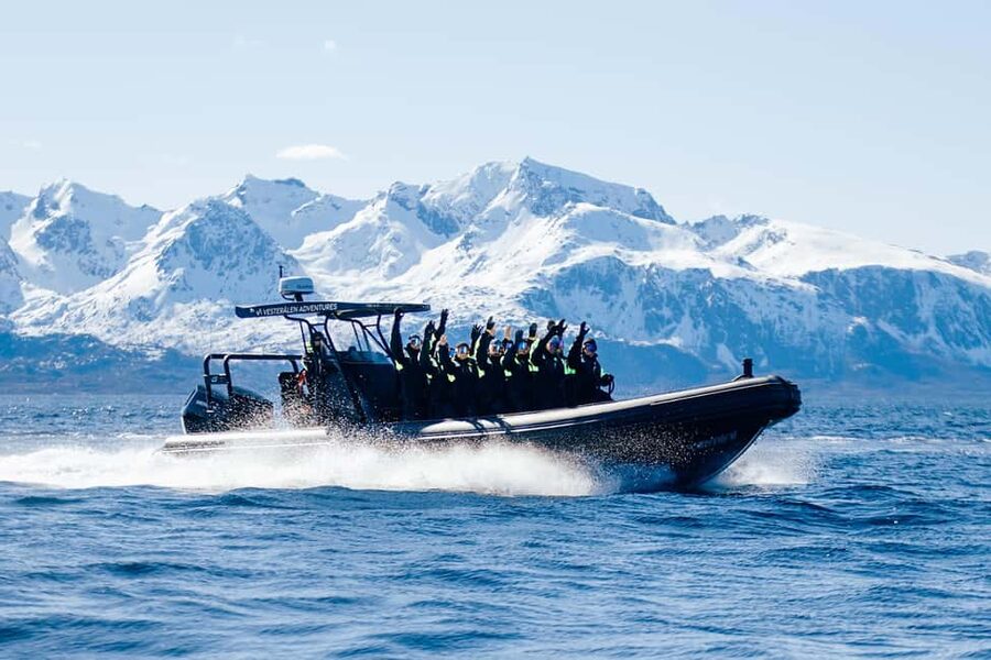 Sortland: Trollfjord RIB Boat Tour - Key points before you book