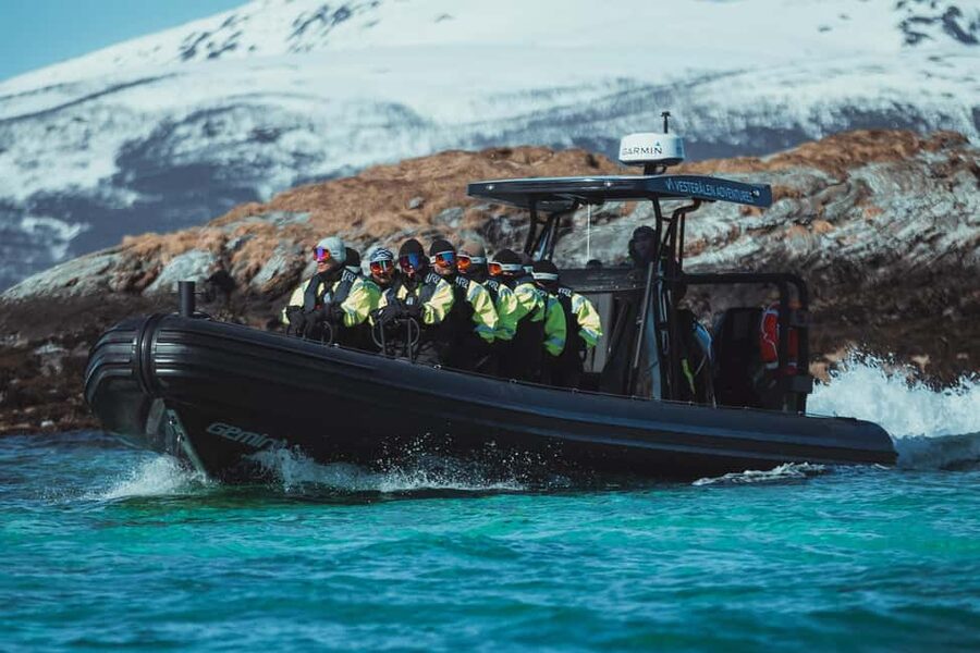 Sortland: Trollfjord RIB Boat Tour - Why the ride to Trollfjord feels special