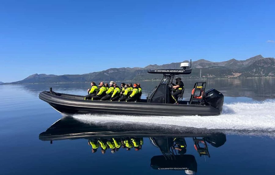 Sortland: Trollfjord RIB Boat Tour - What the RIB ride is really like