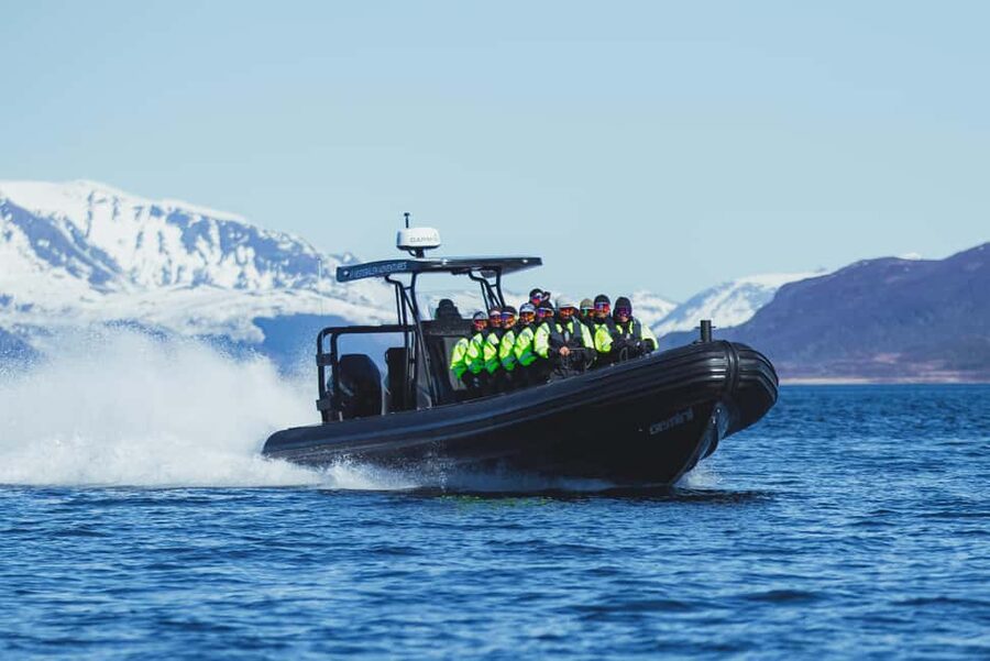 Sortland: Trollfjord RIB Boat Tour - Cost, timing, and practical value