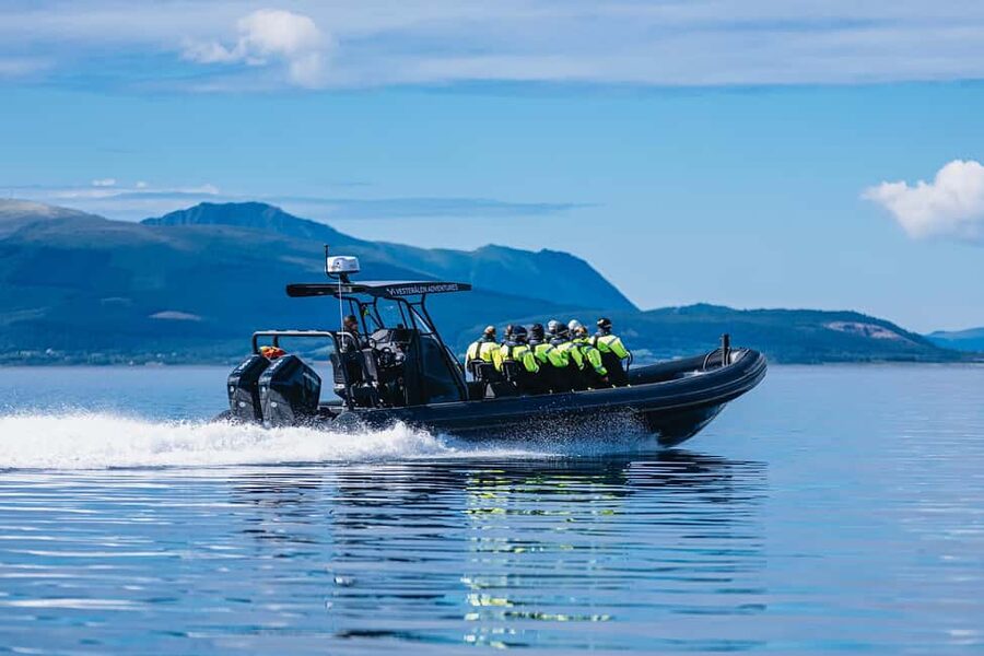 Sortland: Trollfjord RIB Boat Tour - Who will enjoy this Sortland boat tour