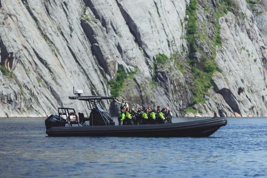 Sortland: Trollfjord RIB Boat Tour - Raftsundet and the approach from Hinnøya
