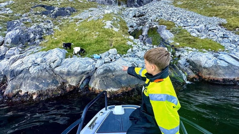 Stavanger: Guided Lysefjord Cruise to Pulpit Rock - Leaving Stavanger Harbour at 25 to 35 knots