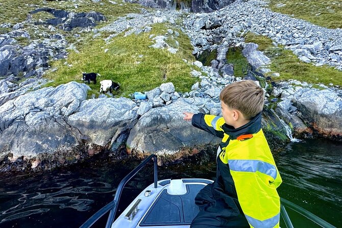 Stavanger: Guided Lysefjord Safari on Speedboat - Seeing Pulpit Rock from below