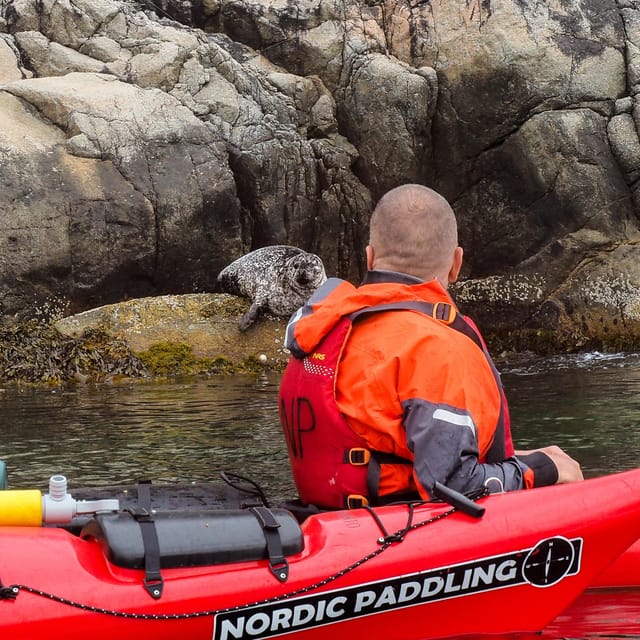 Stavanger: Lysefjord Kayak Safari (Waterfalls & Pulpit Rock) - Practical preparation for the day