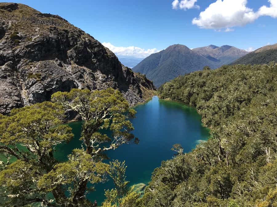 Te Anau: 30-Minute Fiordland National Park Scenic Flight - Landing beside a mountain tarn
