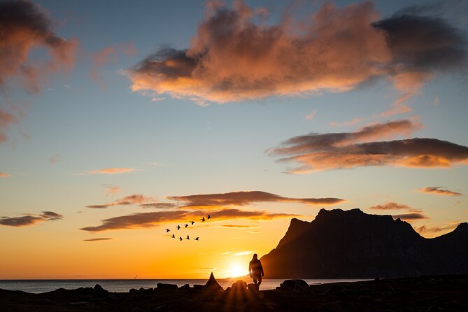 Tour of the authentic fjords of Kvaløya - Why Kvaløya is worth leaving Tromsø for