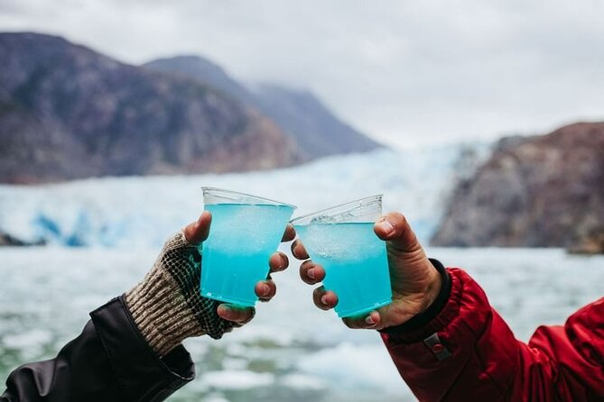 Tracy Arm Fjord and Glacier Explorer from Juneau - Whales, icebergs, and the value of flexibility