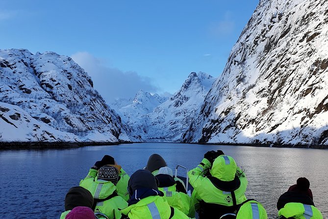 Trollfjord and Sea Eagle Safari Tour from Svolvaer - Key points to know before you book