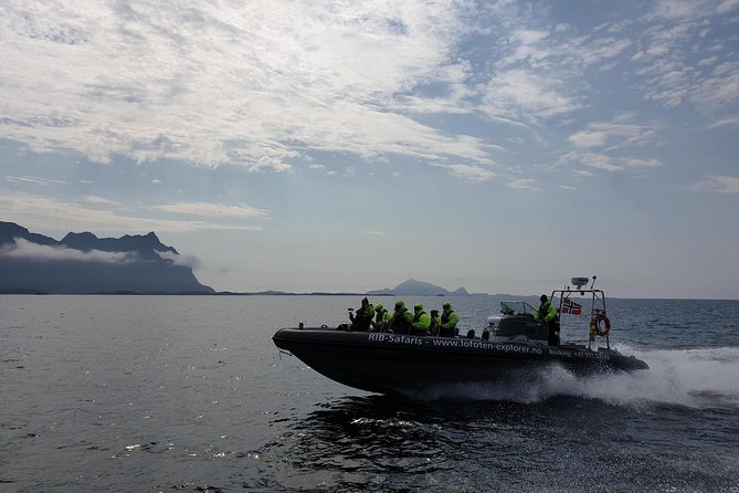 Trollfjord and Sea Eagle Safari Tour from Svolvaer - Why this Svolvær boat trip is more than a quick fjord ride