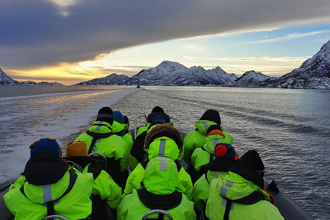 Trollfjord and Sea Eagle Safari Tour from Svolvaer - Getting ready for an open RIB ride