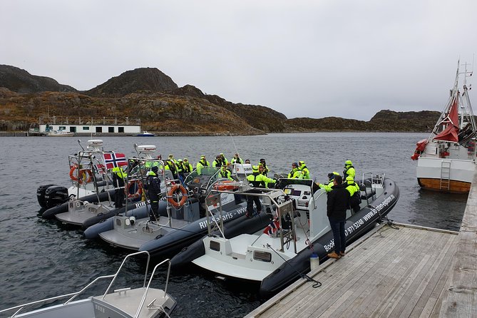 Trollfjord and Sea Eagle Safari Tour from Svolvaer - Watching white-tailed eagles near the boat