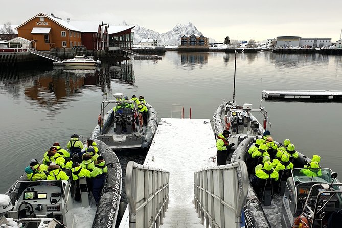Trollfjord and Sea Eagle Safari Tour from Svolvaer - The guide’s role makes a real difference
