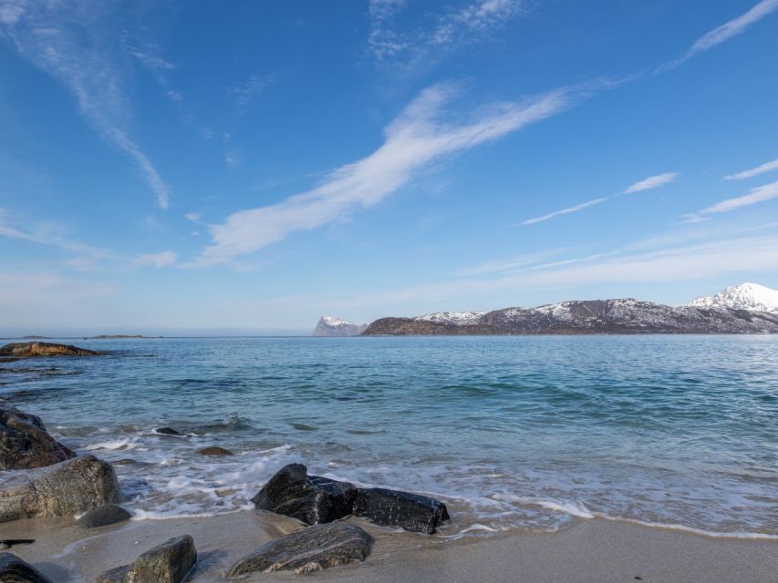 Tromso: All-Inclusive Arctic Fjords and Sommarøy Scenic Tour - Why Kvaløya and Sommarøy make a fine day out
