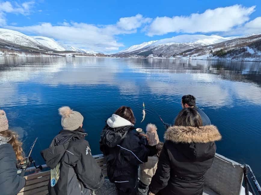 Tromsø: Arctic Fjord Cruise & Fishing Experience - Ramfjord: where the outing becomes hands-on