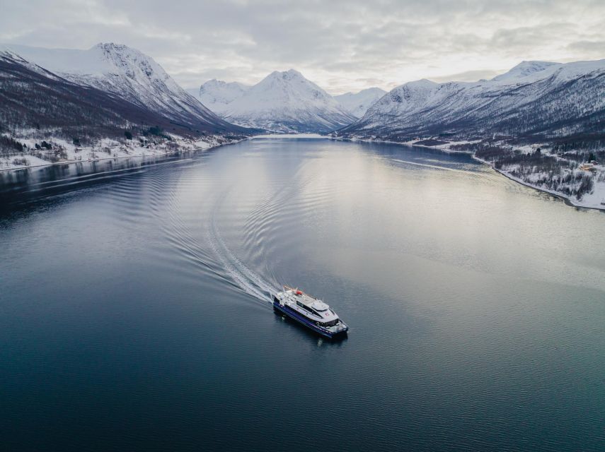 Tromsø: Arctic Fjord Cruise in Polar Landscapes - Practical details for a smoother outing