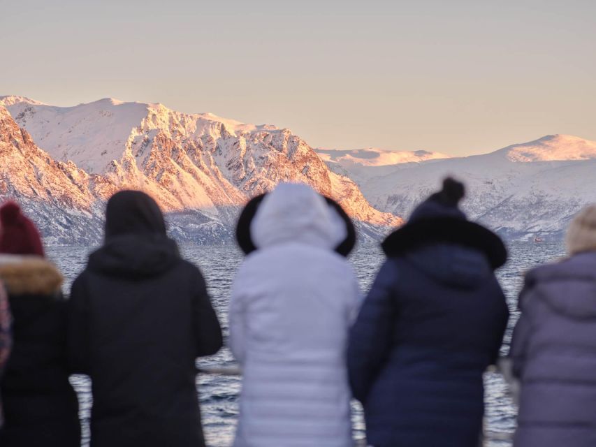 Tromsø: Arctic Fjord Cruise in Polar Landscapes - What the 3.5-hour schedule feels like