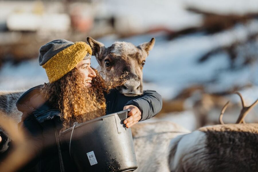Tromsø: Arctic fjord sightseeing, Reindeer feeding and lunch - Who should book this day?