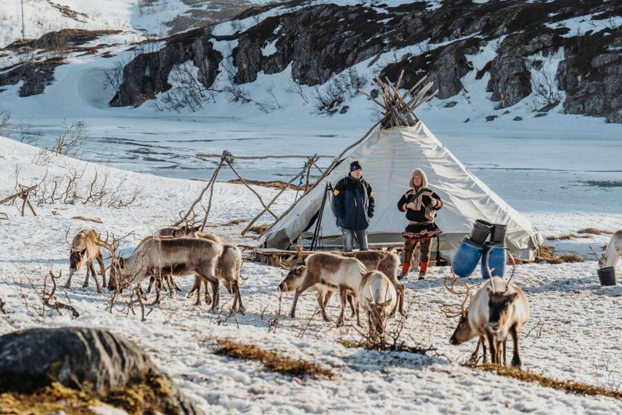 Tromsø: Arctic fjord sightseeing, Reindeer feeding and lunch - The final drive back to Tromsø