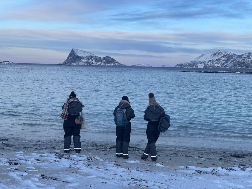 Tromsø: Arctic fjord sightseeing, Reindeer feeding and lunch - Is the $283 price fair?