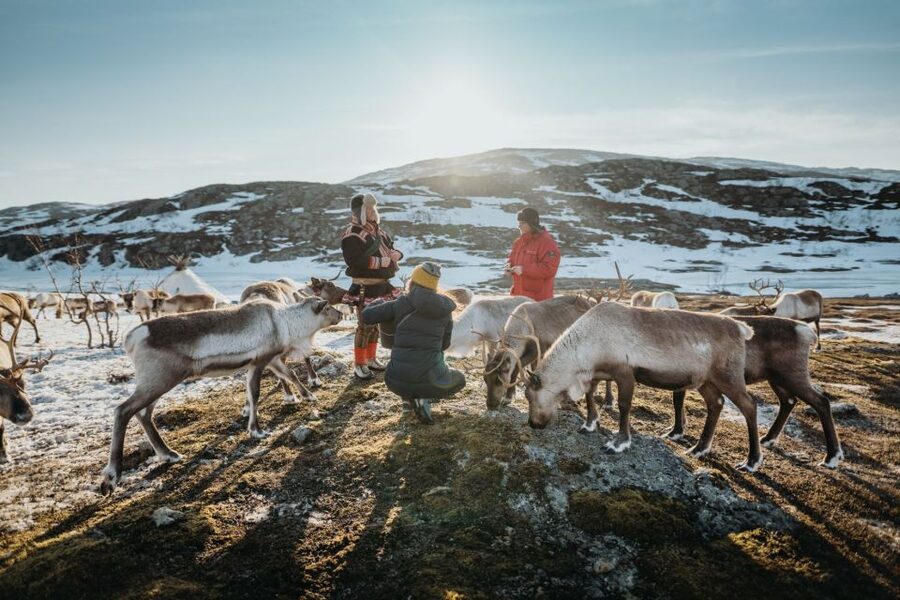 Tromsø: Arctic fjord sightseeing, Reindeer feeding and lunch - Tromsø to Kvaløya: the day begins on the road