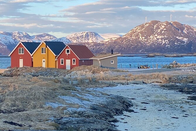Tromsø Arctic Fjords Adventure Tour with Local Lunch - Key points to know before booking