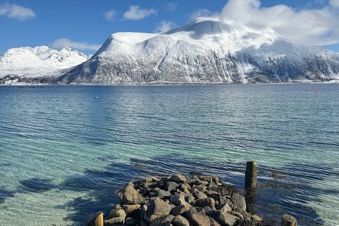 Tromsø Arctic Fjords Adventure Tour with Local Lunch - Who will enjoy this Tromsø fjord tour?