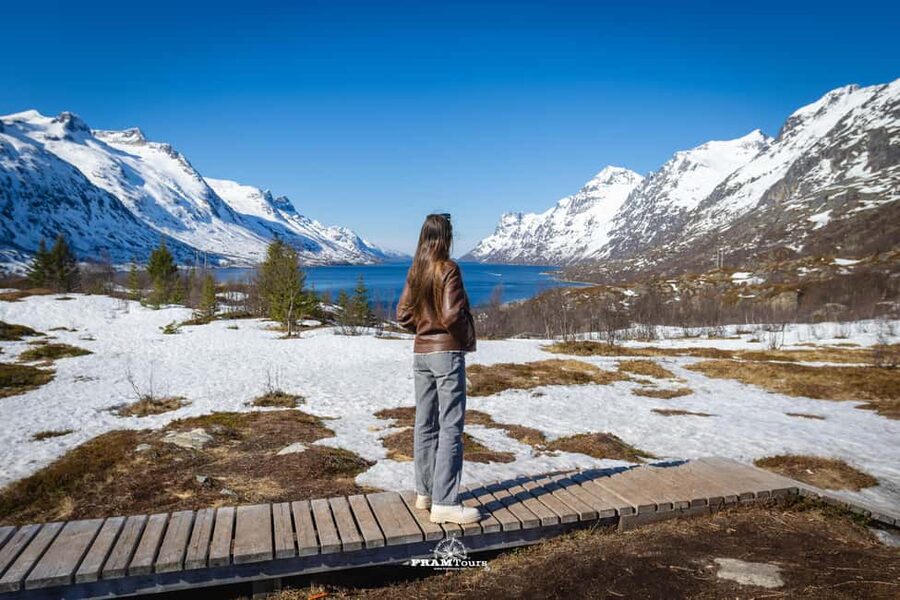 Tromsø: Arctic Fjords Tour to Kvaløya with Panoramic Lunch - Key points to know before booking