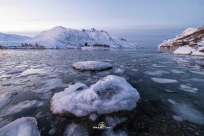 Arctic Fjords Tour to Kvaløya with Panoramic Lunch