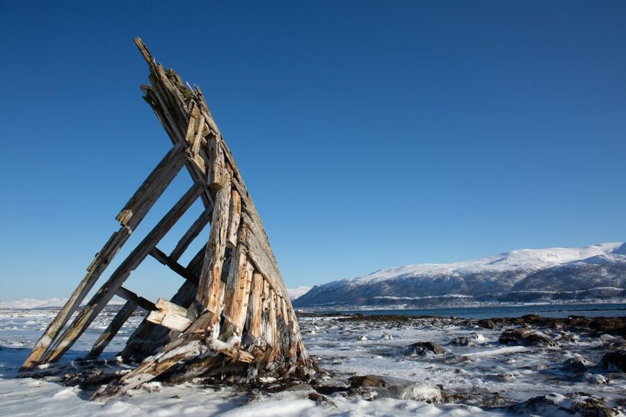Tromsø: Arctic Fjords Tour to Kvaløya with Panoramic Lunch - Wildlife: exciting, but never guaranteed