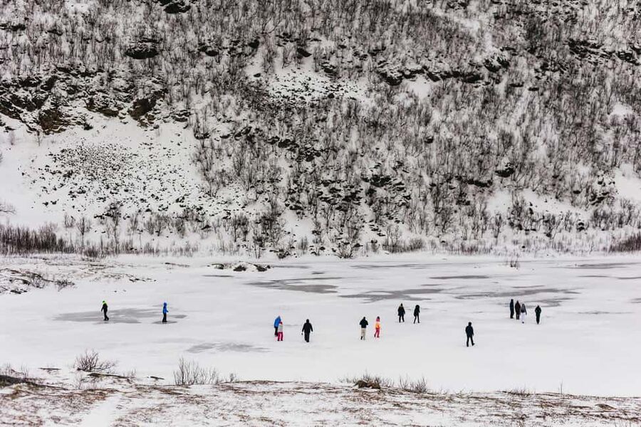 Tromsø: Arctic Landscape and Fjord Tour with Snacks - Why this Tromsø fjord tour works well
