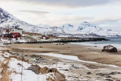 Arctic Landscape and Fjord Tour with Snacks