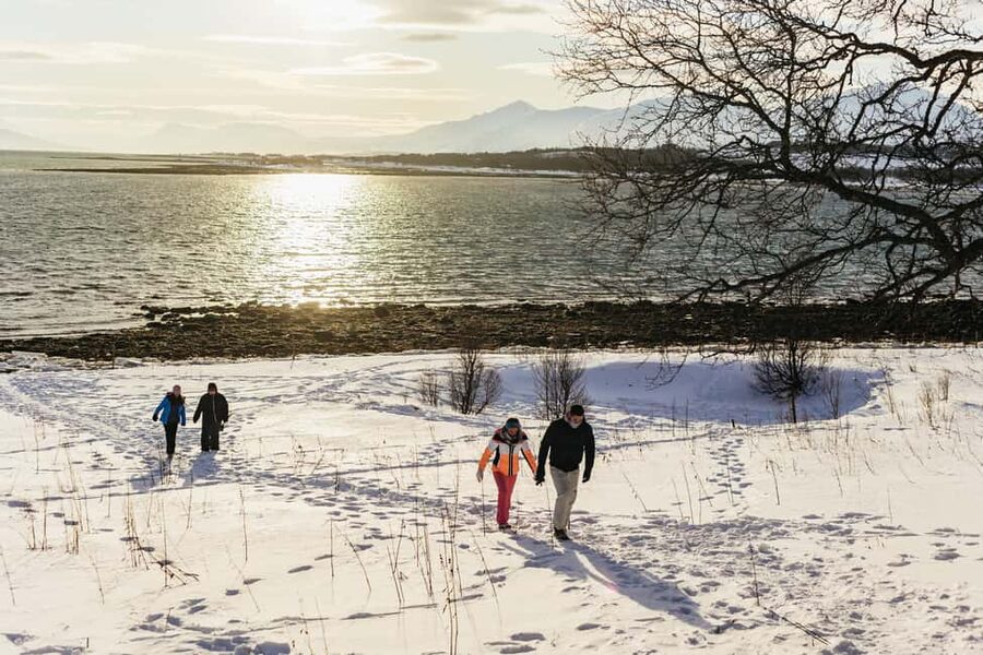 Tromsø: Arctic Landscape and Fjord Tour with Snacks - Fjordvegen and the value of frequent stops