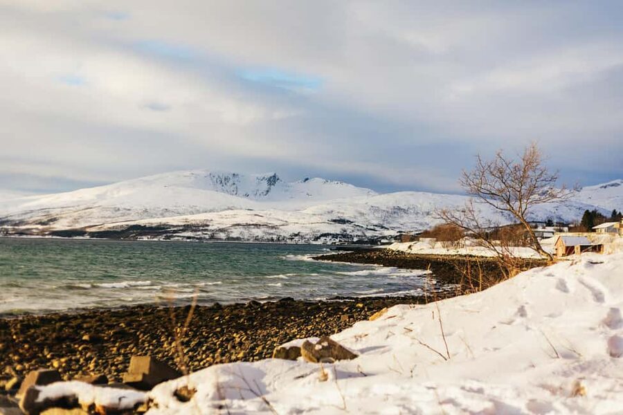 Tromsø: Arctic Landscape and Fjord Tour with Snacks - Karigambukta and the warm snack break
