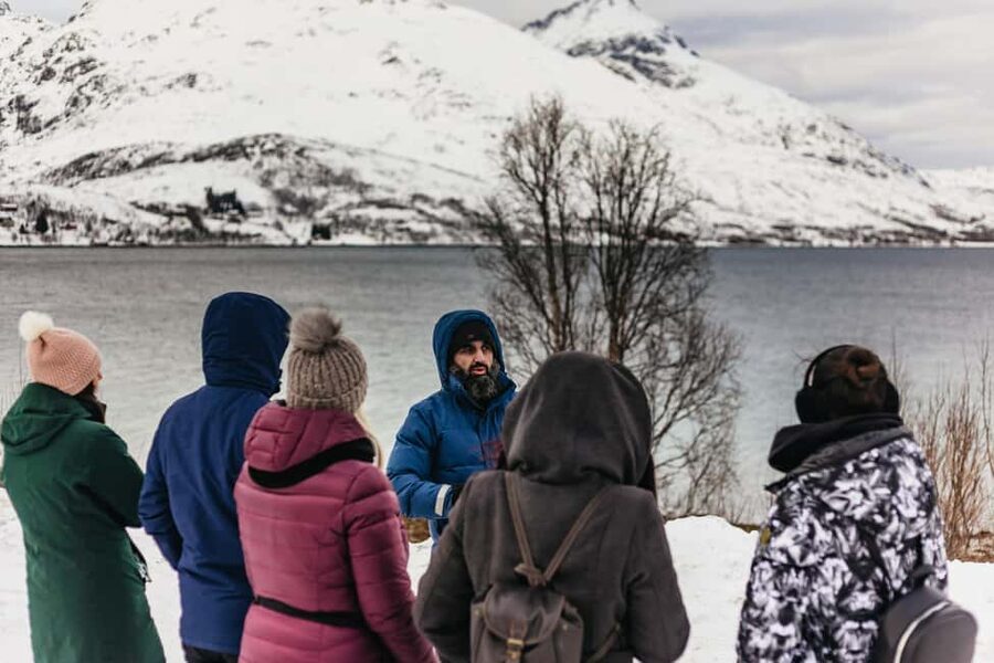 Tromsø: Arctic Landscape and Fjord Tour with Snacks - What the minivan is really like